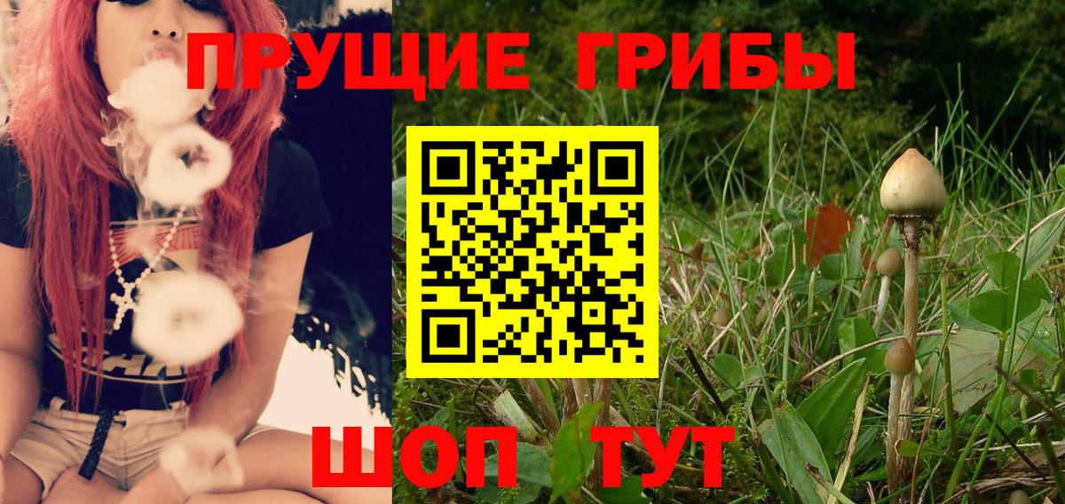 Галлюциногенные грибы MAGIC MUSHROOMS Волхов