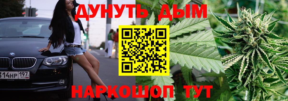 Канабис SATIVA & INDICA Волхов